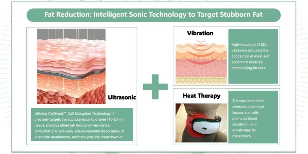 Diagram illustrating ultrasonic, vibration, and heat therapy functions of the OlyLife shaken massager